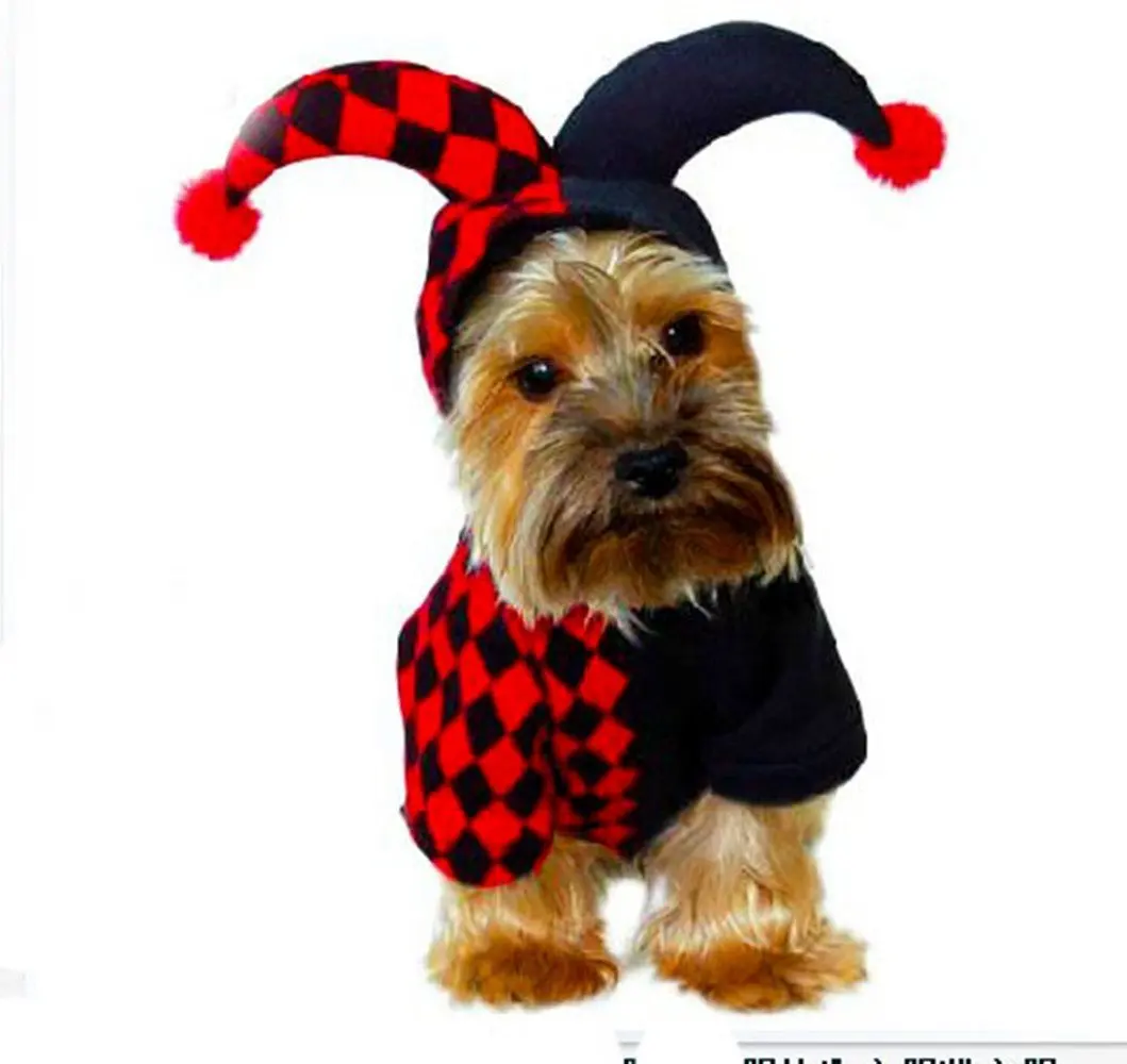 Pets Dog Cats Rooster Costumes Dogs Cute Clothes for Halloween Smallin