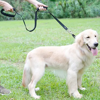 

Anti Pull Training Dog Leash Shock Absorbing Pet Leash with 2 control handles pet accessories led dog collar chihuahua accessor