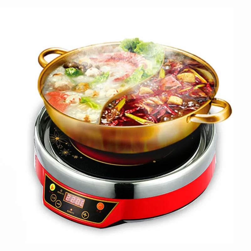 Commercial Electric Hot Pot Push Button 220v/2200w Cooker Frying