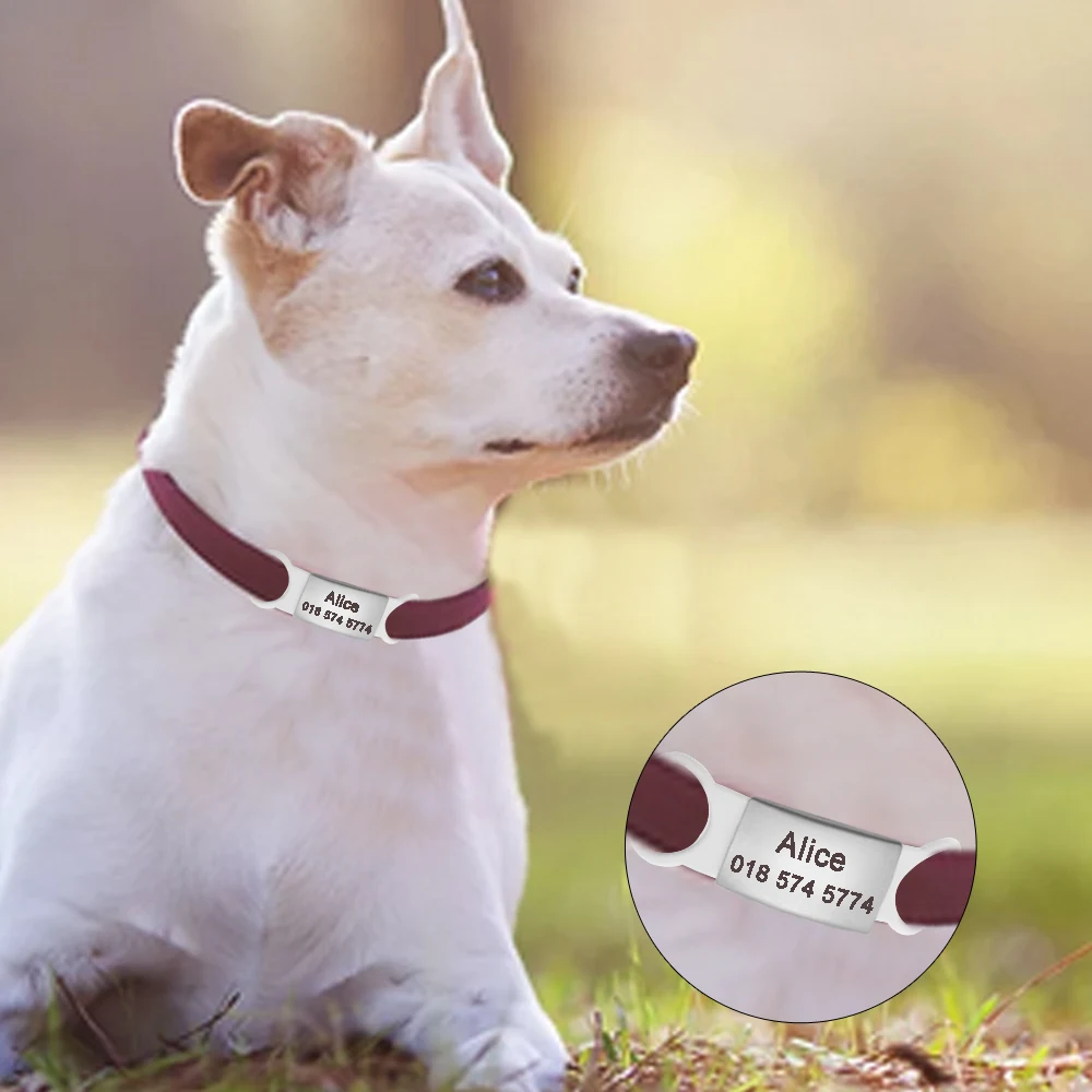 order dog name tag