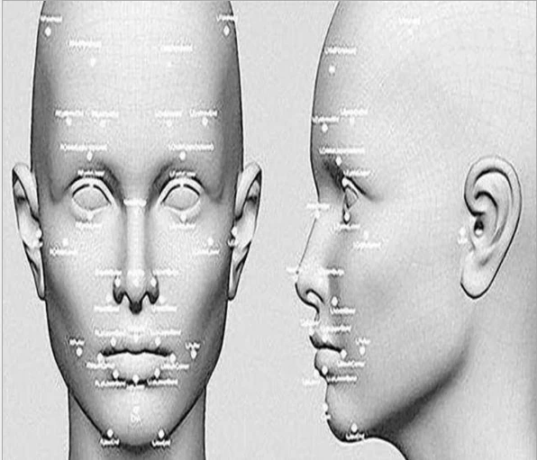 

Facial Identification Provide with sdk facial brushing software