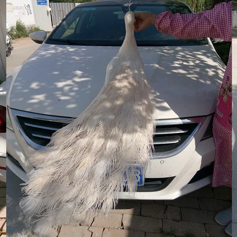 real life Bird white feathers bird large 100cm white peacock ,home garden decoration party prop gift h1380