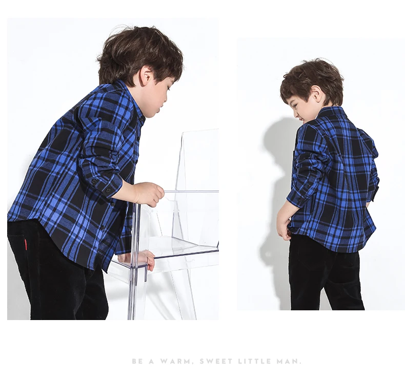 BCS809076_10