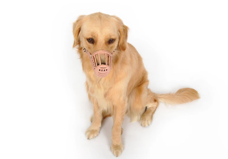 Adjustable Large Dog Bark Deterrent Training Device Anti Barking Collar Anti Bite Control S-3XL (6)