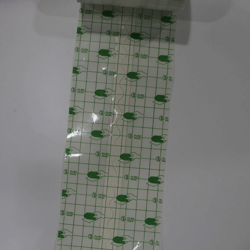 4403451468_1437261720