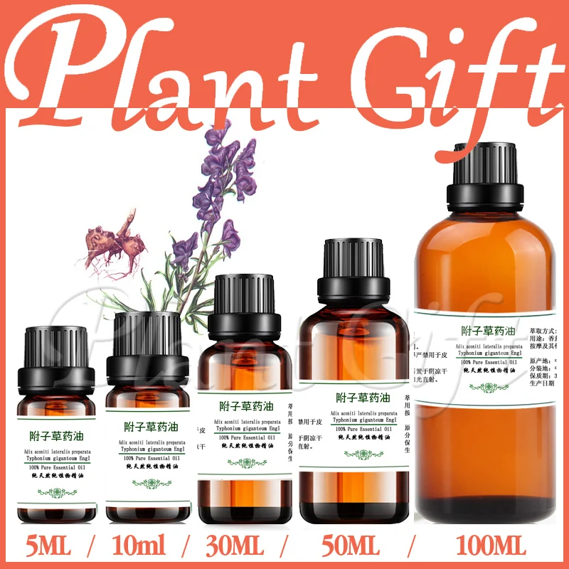100 pure plant Herbal medicine oils Rhizoma Typhonii herbal oil Essential oils traditional