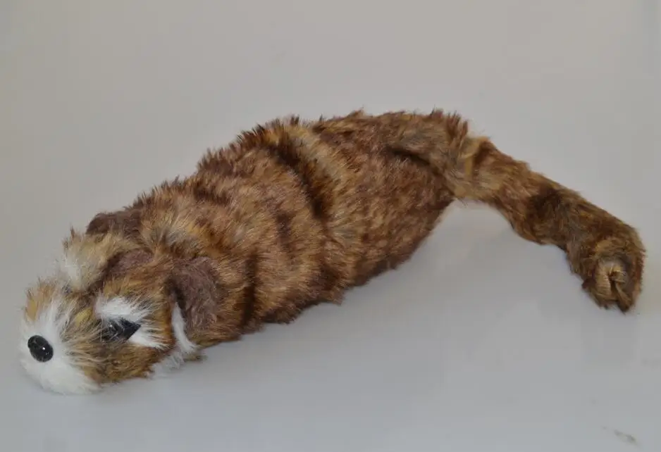 

The Rocky Raccoon Magic Robbie Magic Tricks Funny Street Illusions Gimmick Magic Props Commedy Appear Spring Animal Magie Toys
