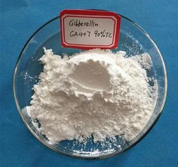 

100g Gibberellin A4+7 90% GA 4+7 GA4 7