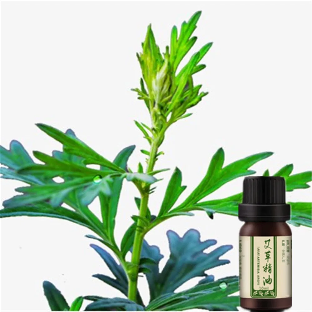 Skin Care Weight Loss Products Argy wormwood Slimming