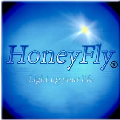 HoneyFly 3 шт 1 Вт 220 В Мини светодиодный светильник мини светодиодный светильник вниз с Светодиодный драйвер для винного шкафа Показать чехол