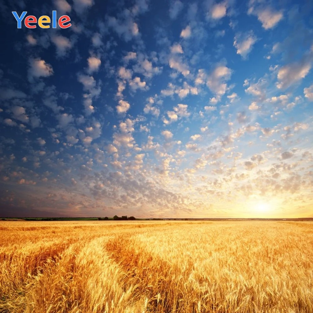 

Yeele Vinyl Autumn Harvest Wheat Fields Haystack Cloud Sky Photography Background Customized Photocall Backdrop For Photo Studio