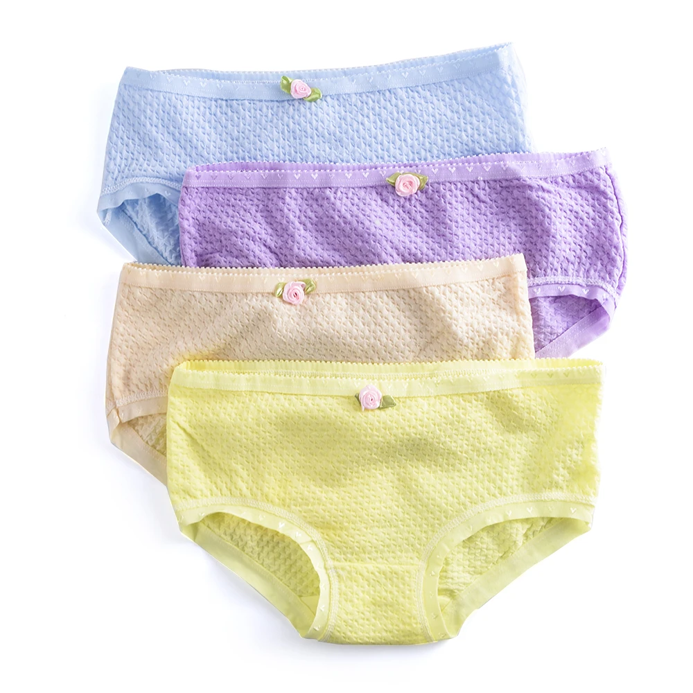 

4 Piece/lot Soft Cotton Young Girl Underwear Children Briefs Candy Colors for Teenage Girls Kids Underwear Underpants 9-20T