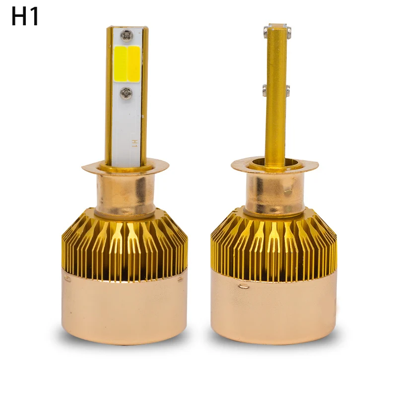 H1