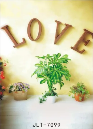 

2*3m Vinyl Custom Children Photography Backdrops Prop Digital Photography Background JLT-7099