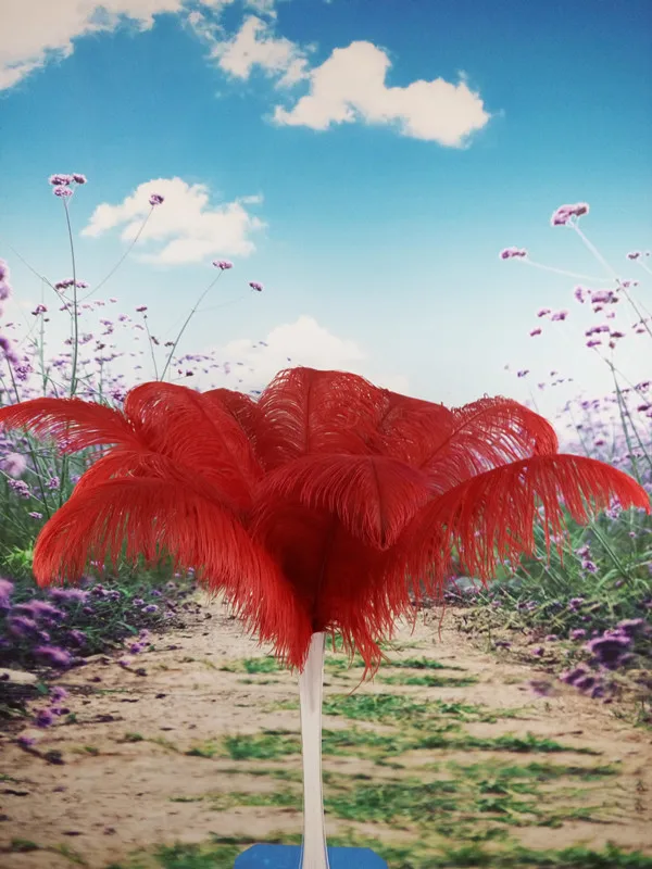 

Wholesale perfect 10pcs high quality natural ostrich feathers 18-20inch/45-50cm Decorative diy red