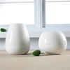 New Desgin white vase ceramic Hydroponics Vase Modern Pure And Fresh Hydroponic Flowers Sitting Room Decoration 5