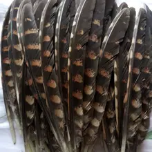 Опт скудные 10 шт качественные натуральные перья фазана 20-25 см/8-10 дюймов