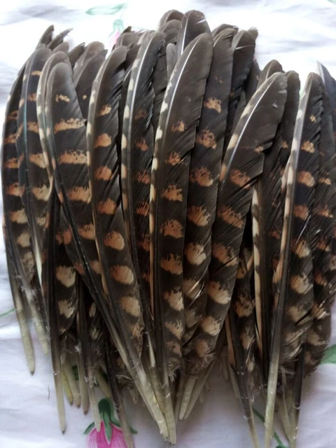 Wholesale Natural Pheasant Peacock Feathers for Crafts Jewelry Making  Accessories Decoration Plumes 5-15CM 20/50/100PCS