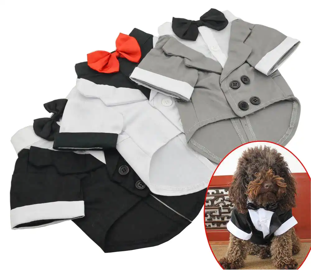 Bigeyedog Pug French Bulldog Clothes Male Dog Suit Wedding Clothing for