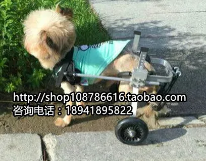 Dog font b wheelchair b font Pet font b wheelchair b font dog scooter font b
