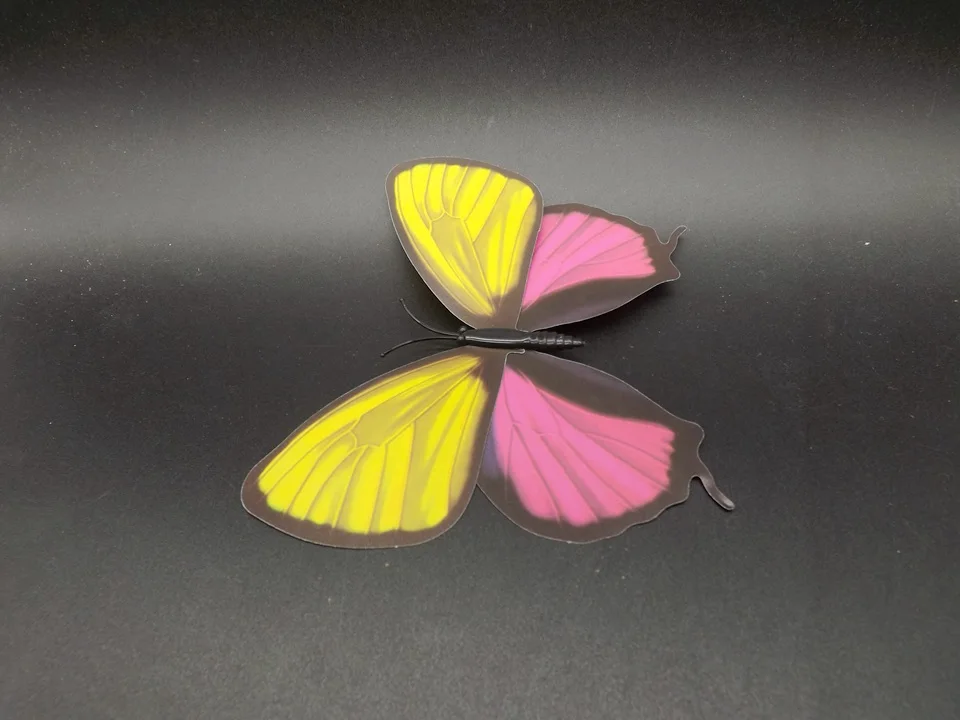 I236-Butterfly (6)