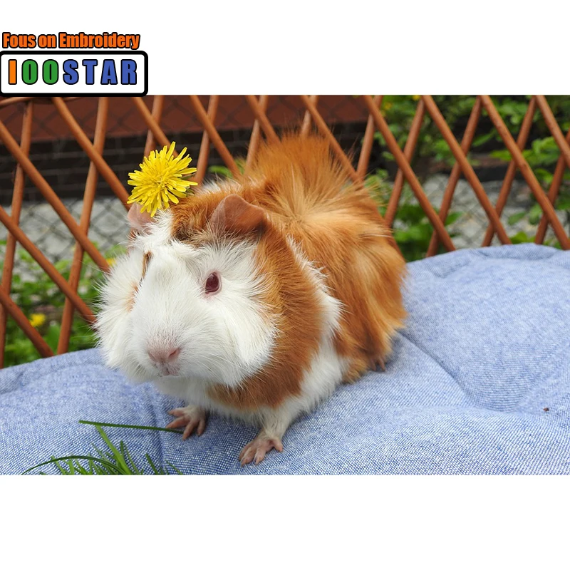 

Вышивка «сделай сам», алмазная живопись, вышивка крестиком «хомяк», картина, алмазная вышивка, квадратная Алмазная мозаика, картины, наклейки