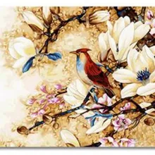 Красивая птица цветы напечатаны DIY Цифровая картина маслом по номерам ручная роспись маслом 40x50 см без рамки