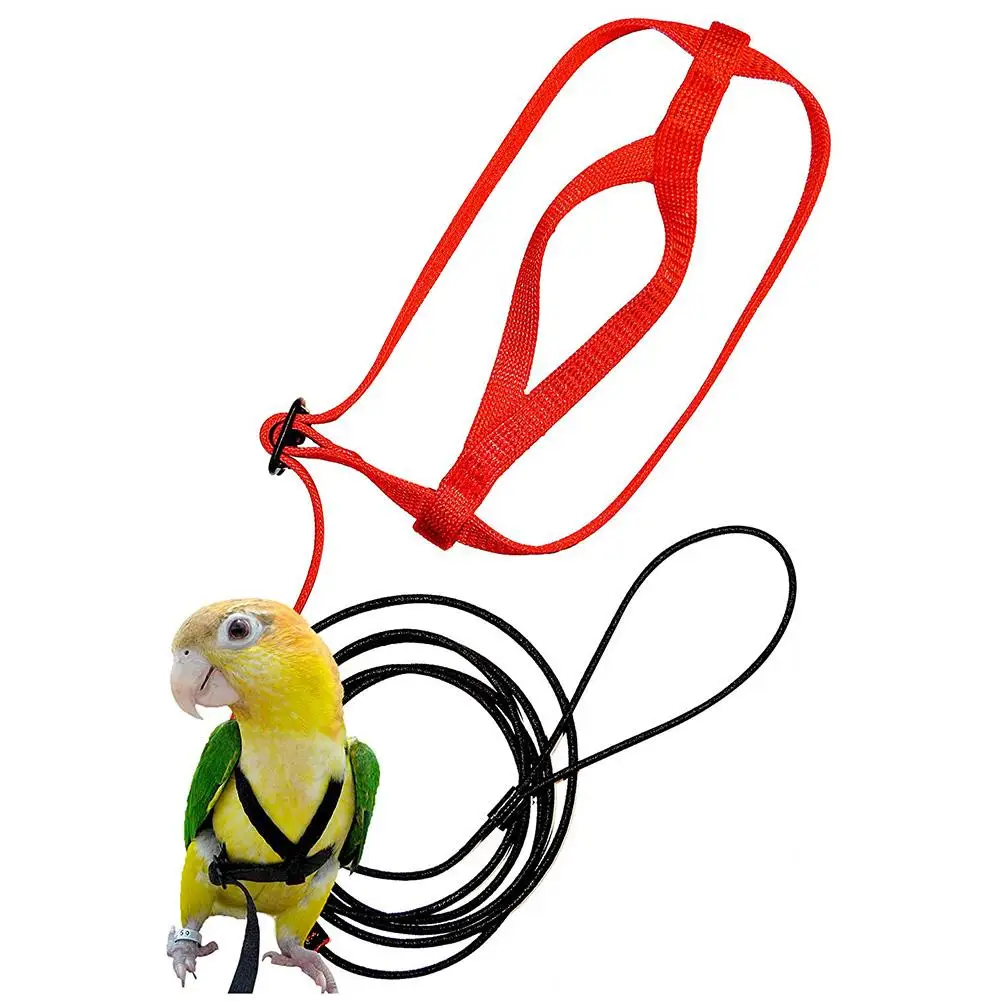 

Parrot Harness and Leash Flying Anti-bite Traction Rope bird Training Outdoor Carrying for Psittacus Erithacus Scarlet Macaw Par