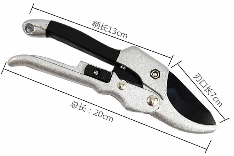 9056233596_2071888846