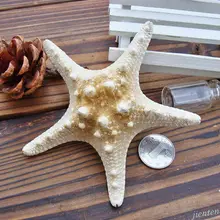 Креативная натуральная морская звезда Морская звезда корпус аквариум Изготовление поделок своими руками Декор поставки