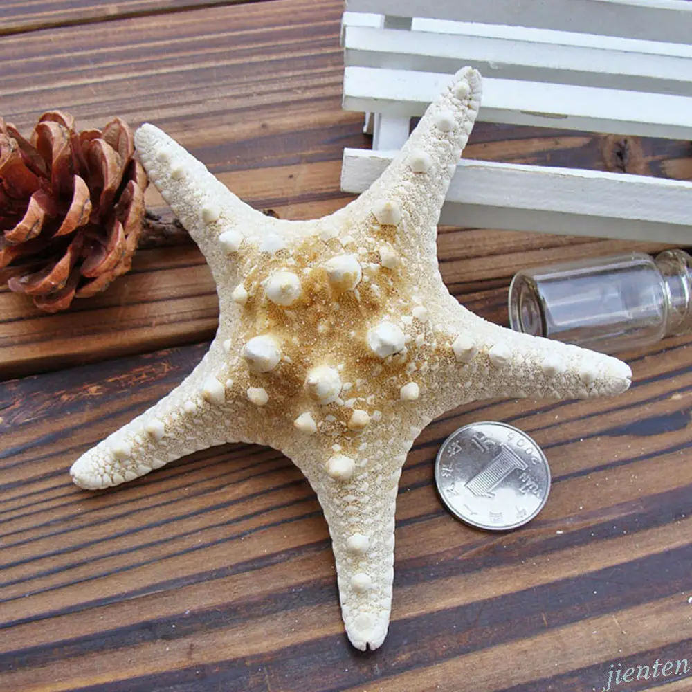 

Creative Natural Starfish Sea Star Shell Aquarium Fish Tank Making DIY Crafts Decor Supplies