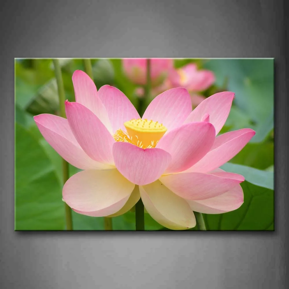 

Framed Wall Art Pictures Lotus Leafs Canvas Print Flower Modern Posters With Wooden Frames For Living Room Office Decor