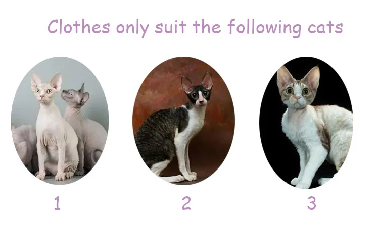 6 (2)