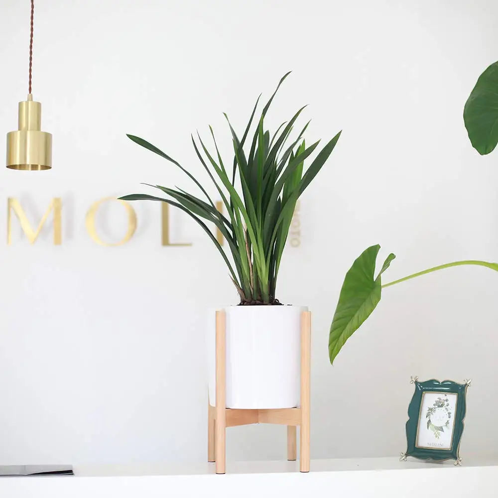 

35cm Indoor Plant Flower Pot Planter Stand Assembly Beech Wood Holder Wooden Floor Potted Rack for Home Office Decor