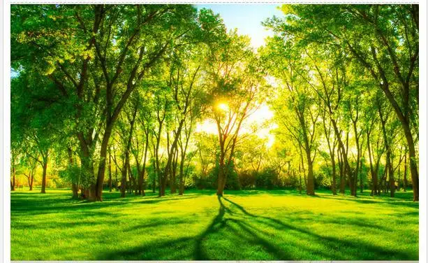 Kustom 3D Wallpaper Non woven Ruang Duduk 3 D Dinding Seting TV Hijau