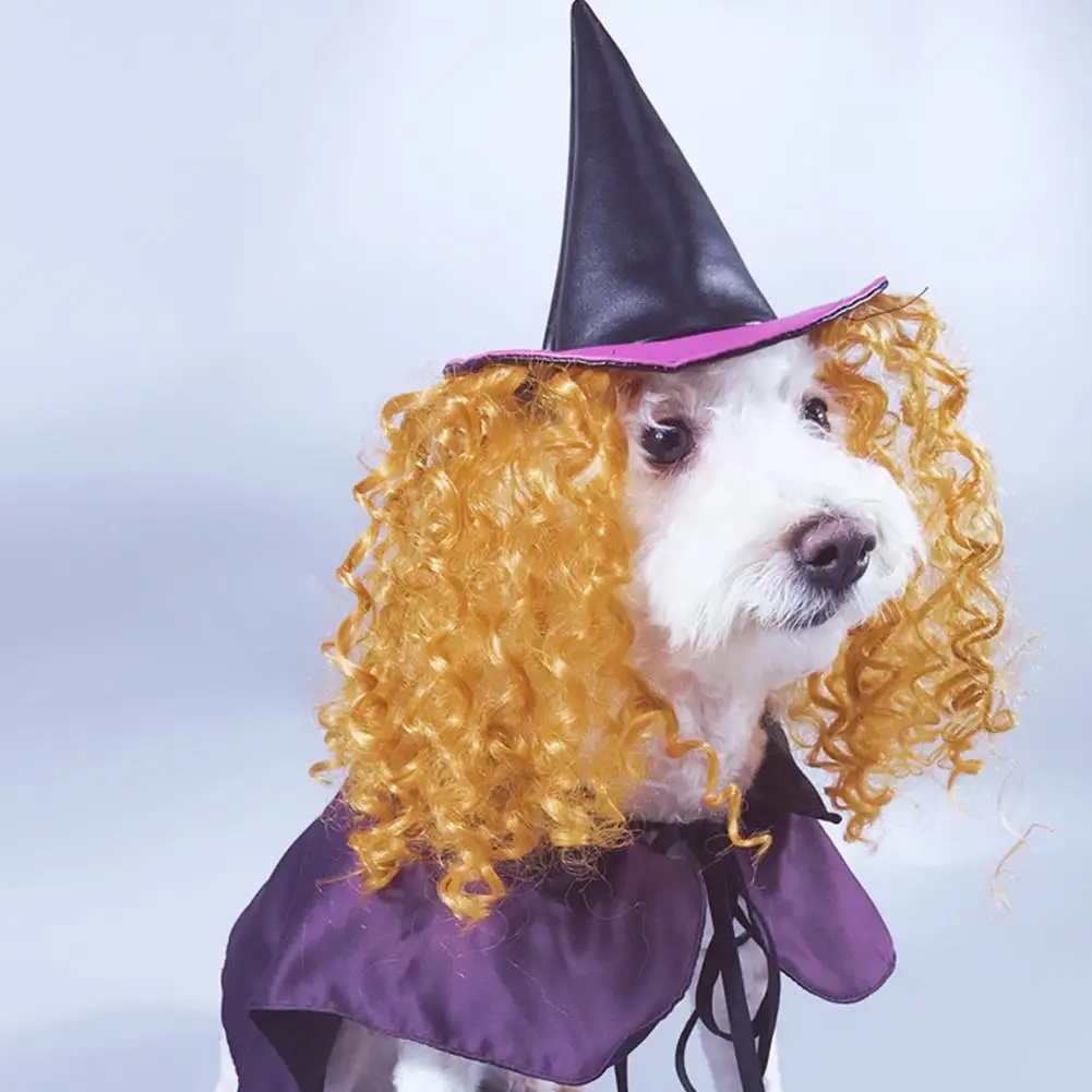 TPFOCUS шикарная Одежда Хэллоуин косплей ведьма фиолетовый плащ манекен для шарфа парика костюм для домашних собак поставки Забавный костюм