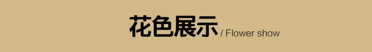 Льняная домашняя Подушка/одеяло для офисного стула, подушка на спинку, одеяло для обеда/подушки для стульев, подушка для автомобильного сиденья, летнее одеяло