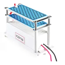 220V 10G/H Ozone Generator Double Integrated Long Life Ceramic Plate Air Purifier 70W 110V ce emc lvd fcc 7g h ozone generator 220v