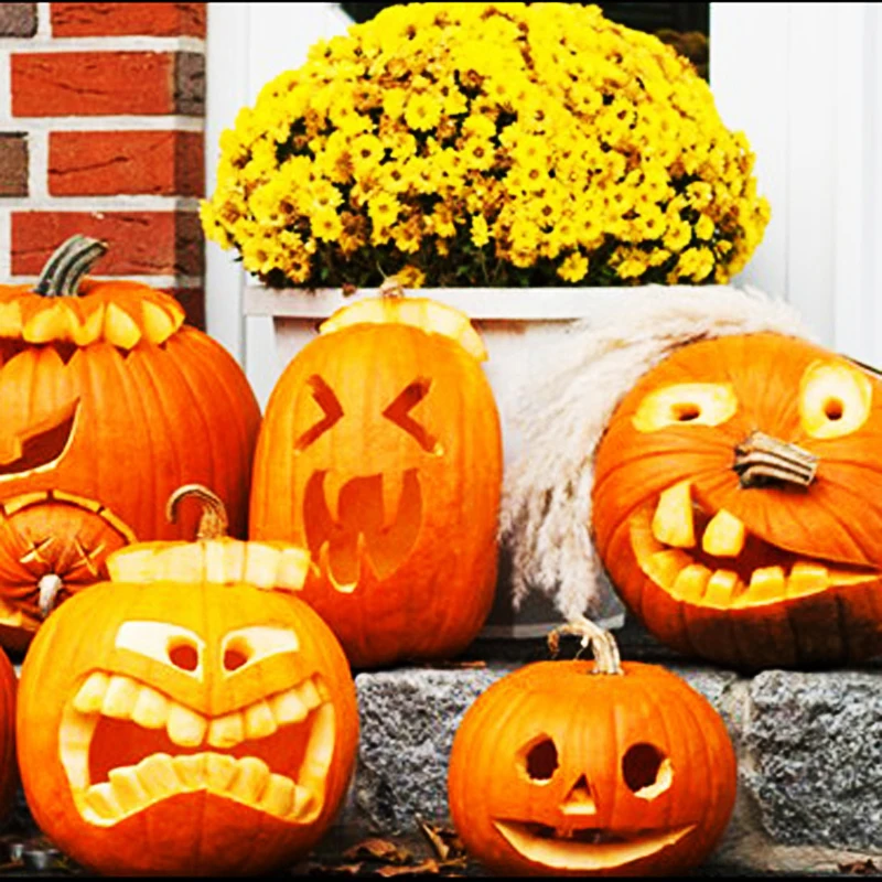 

Hot sale 20pcs Halloween Decorating Pumpkin rare vegetable bonsai plant for home garden