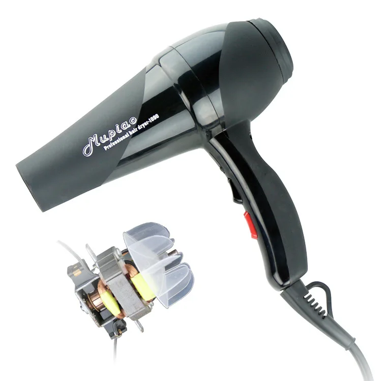 110v 240v Professional Hair Dryer Stylist Blu Ray Anion