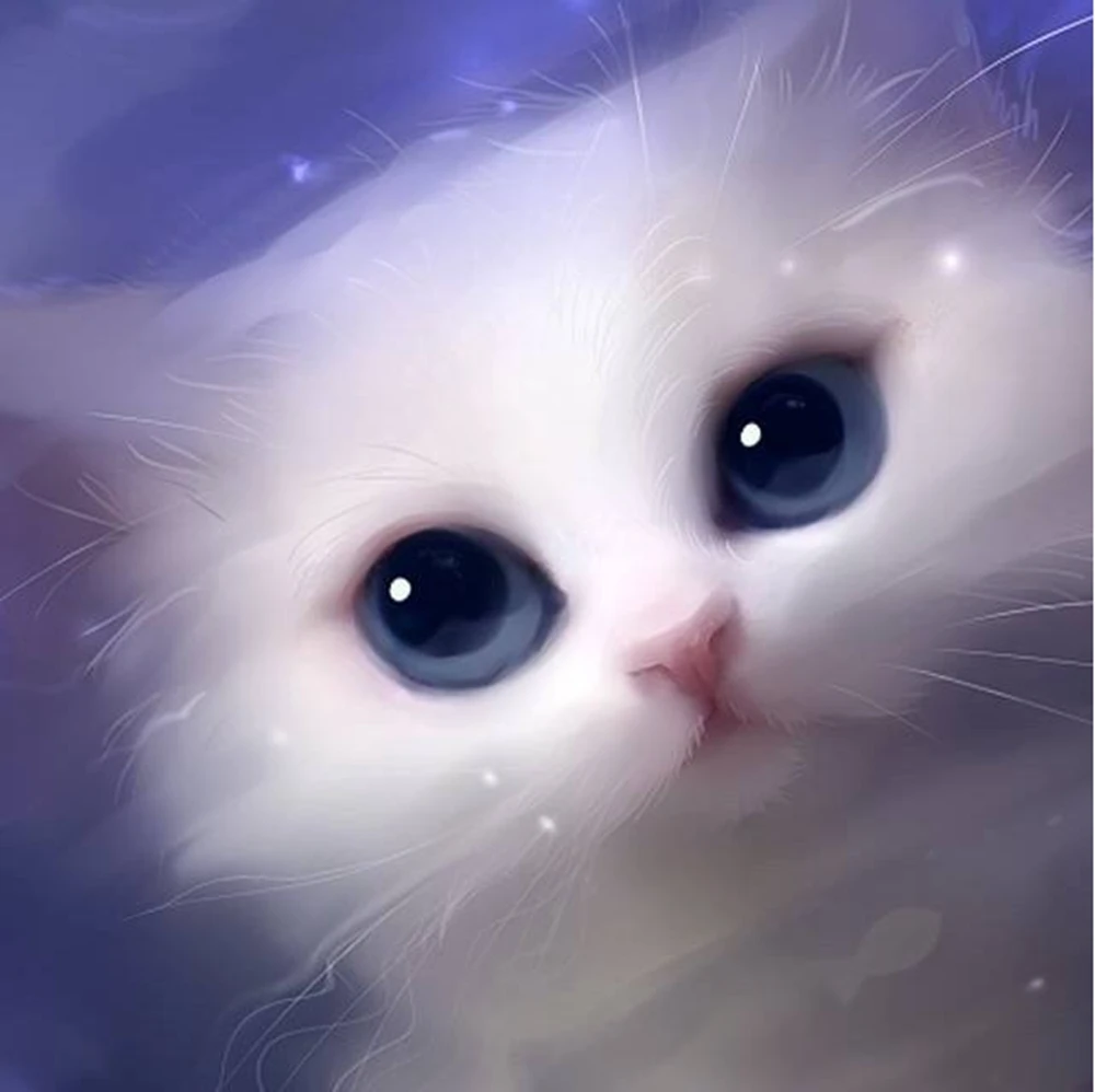 5d Diy Diamond Painting Cat Diamond Embroidery Painting Rhinestone