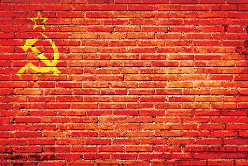 

SHANNY Vinyl Digital Printed Backdrops for Photography Brick wall theme Photo Studio Background SZ-101