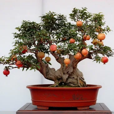 garden decoration bonsai 20pcs