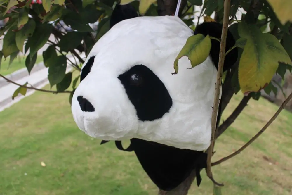 Новинка Роскошная panda Школьный Рюкзак Для специальные подарки для мужчин или