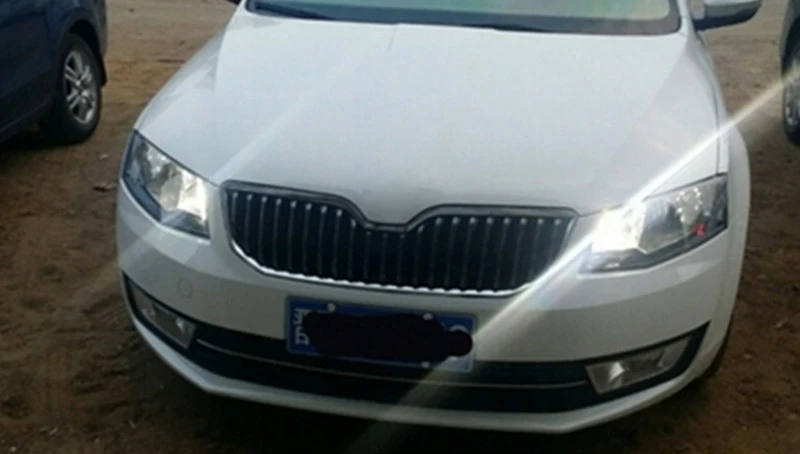SKD3