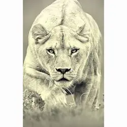 5d Diamond картина Полная площадь/круглый Лев, тигр Мозаика DIY алмазов картина животных вышивка крестиком домашний декор