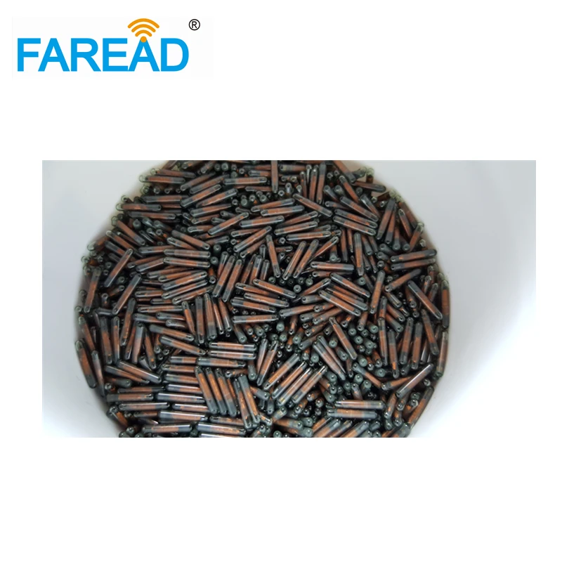 seguranca protecao 04