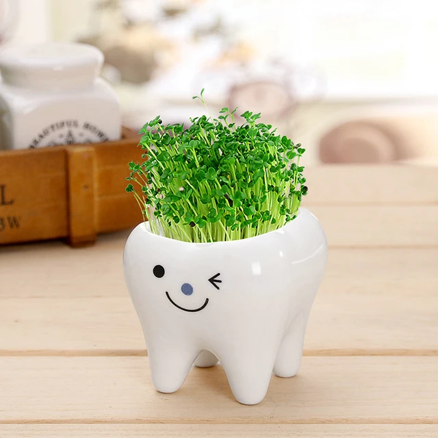 Cute tooth pot vase creative ceramic cartoon tooth flower pot succulent
