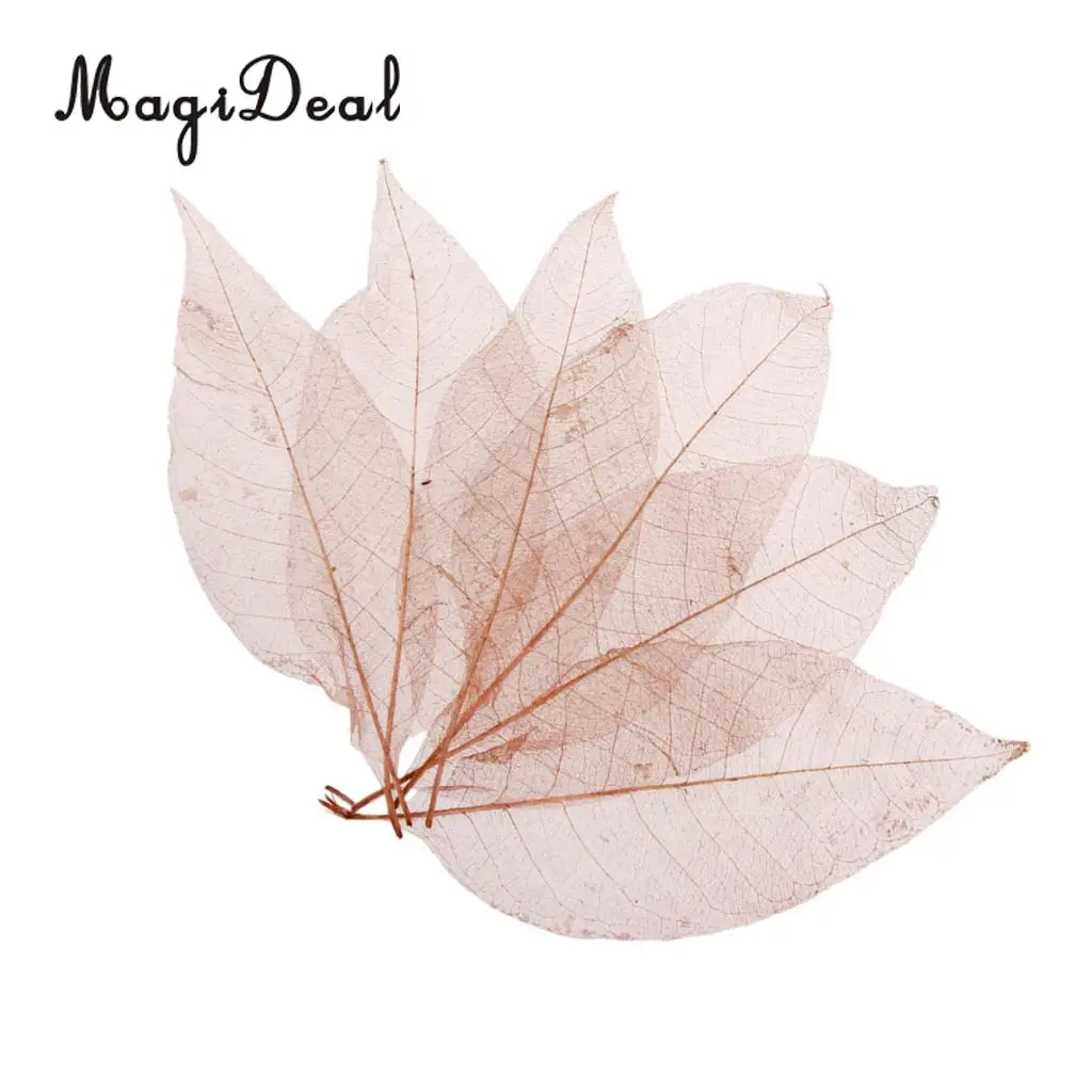 100Pcs Magnolia Skeleton Leaf Scrapbook Decoration Leaves Blue and Brown Decorative DIY Craft Leafs Artwork Embellishment