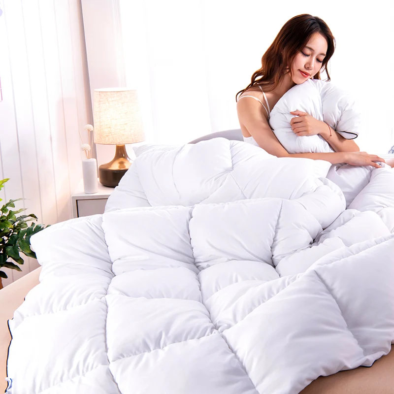 Winter Duvet Comforter Insert Microfiber Down Alternative